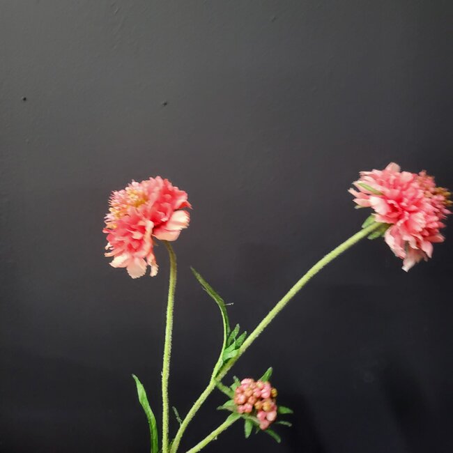 Pure Kunsttak Duifkruid 66 cm roze