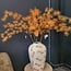 PTMD KunsttakTwig Plant hamamelis geel - oranje
