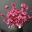 Present Time Kunsttak Flower Stem paars + roze