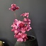 Present Time Kunsttak Flower Stem paars + roze