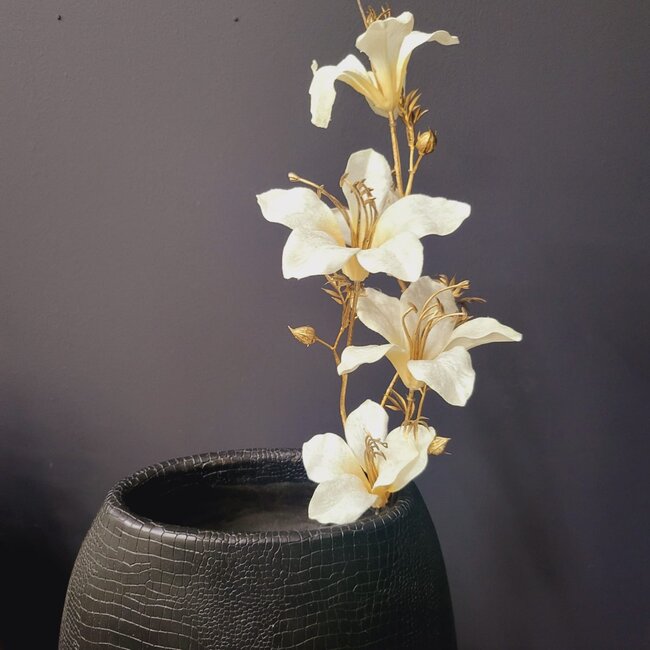 Countryfield Kunsttak Bauhinia Creme