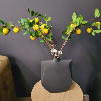 Countryfield Kunsttak Citrus lemon geel