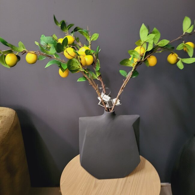 Countryfield Kunsttak Citrus lemon geel
