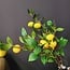 Countryfield Kunsttak Citrus lemon geel