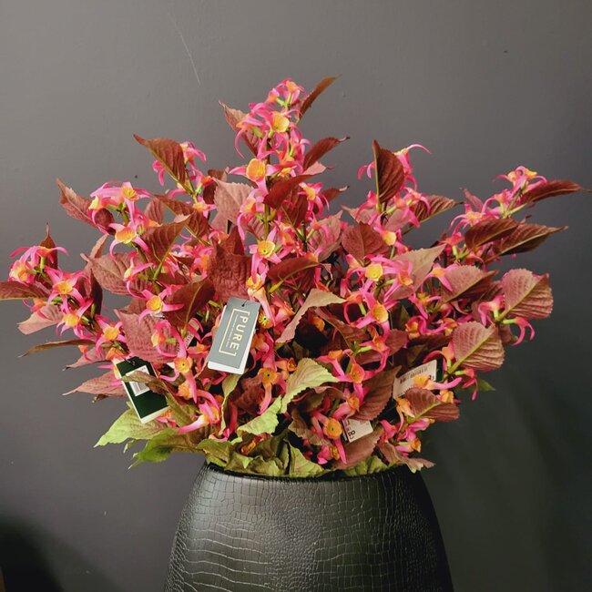 Pure Kunsttak Dovenetel 70 cm Beauty roze