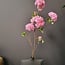 Pure Kunsttak Hortensia groot 110 cm roze