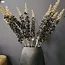 Countryfield Kunsttak Eremurus zwart