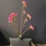 Pure Kunsttak Limonium 70 cm Beauty roze