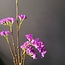 Pure Kunsttak Limonium 70 cm lavendel