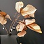 Countryfield Kunsttak Parthenocissus S bruin