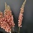 Countryfield Kunsttak Eremurus roze