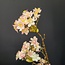 Countryfield Kunsttak Cornus S roze