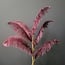 Light en Living Ornament 5 veren 129 cm FEATHER donker rood-paars