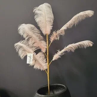 Light en Living Ornament 5 veren 129 cm FEATHER licht oud roze