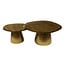 WoonStijl Salontafel set van 2 Eclipse goud antiek finish
