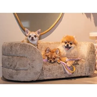 Richmond Interiors  Huisdierenbed Bingo Bergen 104 taupe chenille