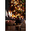 Light en Living Schaal Ø25,5x11 cm GALAXA antiek goud S