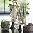 Light en Living Vaas Ø17x17 cm DOURO smoke glas