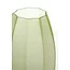 Light en Living Vaas Ø23x38 cm BRADLEY glas olijf groen