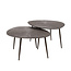 WoonStijl Salontafel set van 2 organisch Brown Ray Metal