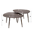 WoonStijl Salontafel set van 2 organisch Brown Ray Metal