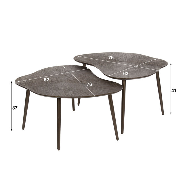 WoonStijl Salontafel set van 2 leaf Brown Ray Metal
