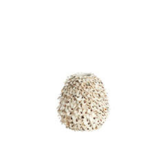 Light en Living Vaas deco Ø26x27 cm UBATE bamboe+schelp crème+bruin