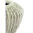 Light en Living Vaas deco Ø32x28 cm CACTI shiny mint groen