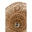 Light en Living Hanglamp 65x64x30,5 cm JANZUR rattan donkerbruin
