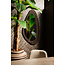 PTMD Spiegel Santin Bruin mango wood organic triangle
