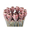 PTMD Vaas Tulips Mint Green ceramic tulip shaped S