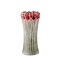 PTMD Vaas Tulips Mint Green ceramic tulip shaped M