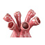 PTMD Vaas Annmarie Light Pink ceramic flower shape tubes L