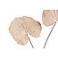 PTMD Kunsttak Leaves Plant Cream monstera leaf spray