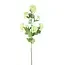 PTMD Kunsttak Hydrangea Flower groen snowball