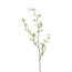Light en Living Kunsttak 110X20X5 Cm GYPSOFILA groen-creme