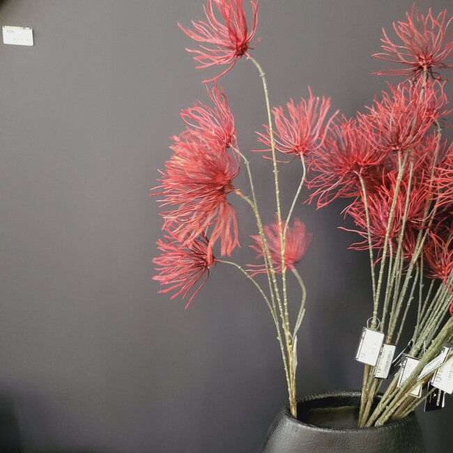 Countryfield Kunstbloem Grevillea M Rood Paars