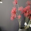 Countryfield Kunstbloem Grevillea M Rood Paars