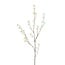 Light en Living Kunsttak 122x30x5 cm SPIRACEA creme