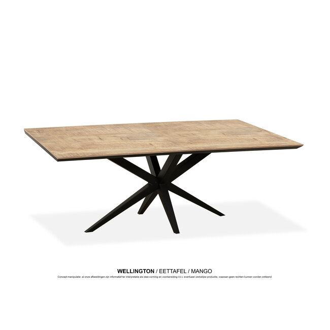 WoonMax Eettafel Wellington Rechthoek Lamulux  - Diverse kleuren en afmetingen