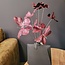 Countryfield Kunstdeco Vlinder Lush Set van 3 takken met 3 vlinders per tak