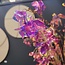 Countryfield Kunstbloem wild Hortensia M paars i-L138B43H85CM