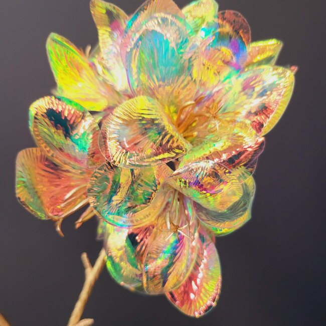Countryfield Kunstbloem vertakt Plumeria M roze - Tropische sfeer voor in huis