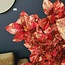 Countryfield Kunstblad Castanea Circus roze