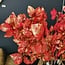 Countryfield Kunstblad Castanea Circus roze