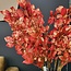 Countryfield Kunstblad Castanea Circus roze