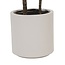 Countryfield Kunstplant in pot Pachira groen-L 25 x B 25 x H 190 CM