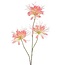 Countryfield Kunstbloem Lycoris roze - L 12 x B 8 x H 94 CM