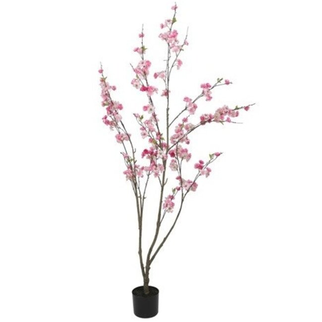 Countryfield Kunstplant Prunus M roze - L 50 x B 50 x H 185 CM