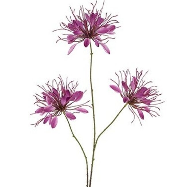 Countryfield Kunstbloem Lycoris paars - L 12 x B 8 x H 94 CM